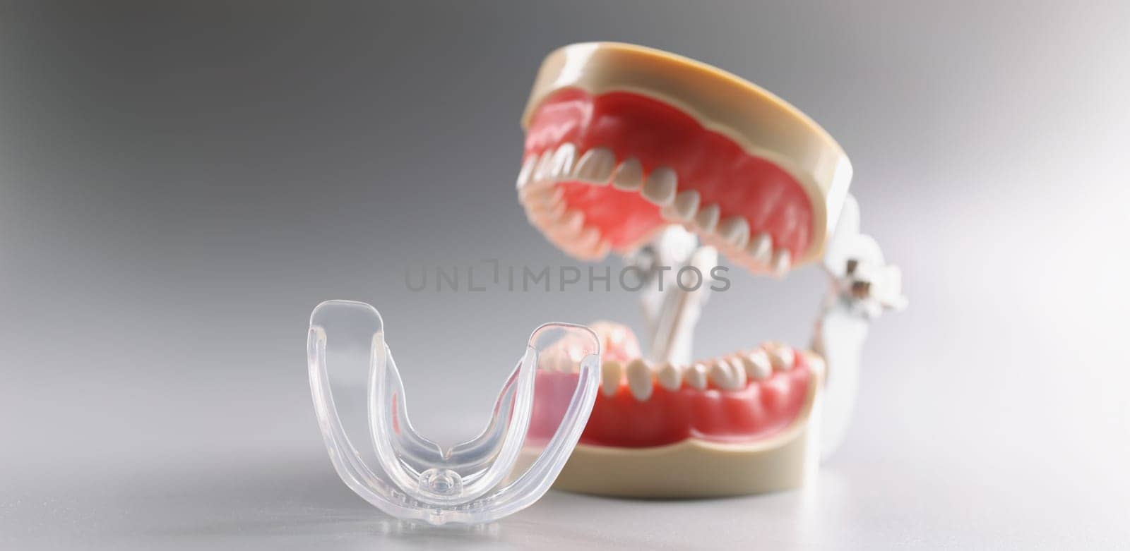Plastic model of the open jaw on a gray background, close-up. Teaching material for dentistry, oral prosthetics