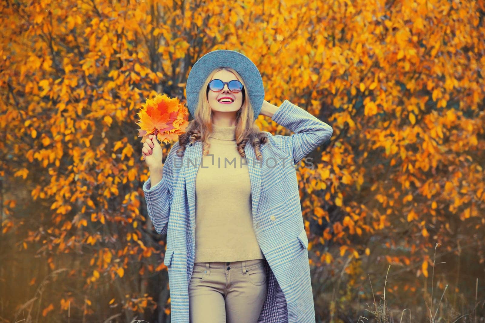 Autumn portrait of beautiful happy smiling woman with yellow maple leaves wearing round hat and coat in the park