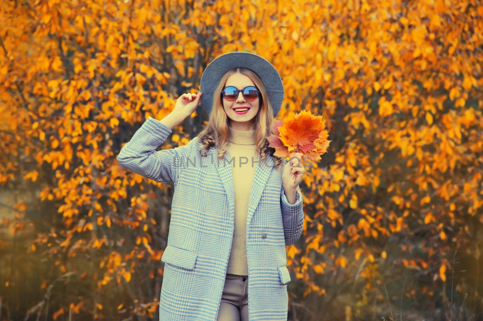 Autumn portrait of beautiful happy smiling woman with yellow maple leaves wearing round hat and coat in the park