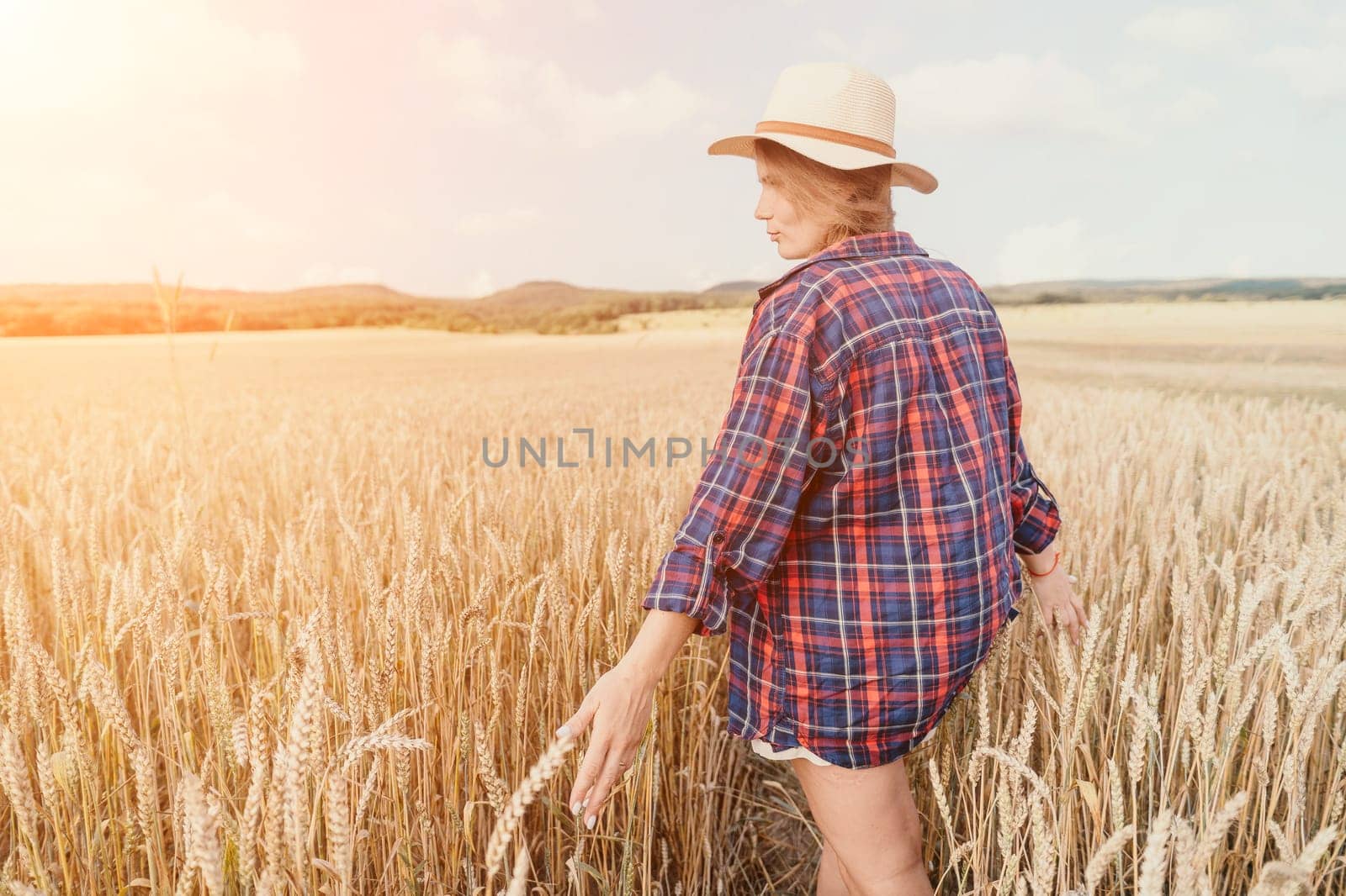 Woman farmer walks through a wheat field at sunset, touching green ears of wheat with his hands. Hand farmer is touching ears of wheat on field in sun, inspecting her harvest. Agricultural business.