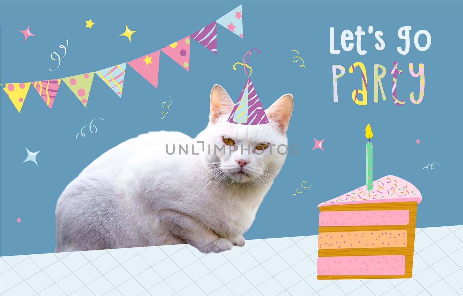White Cat Birthday Party a single candle. High quality photo