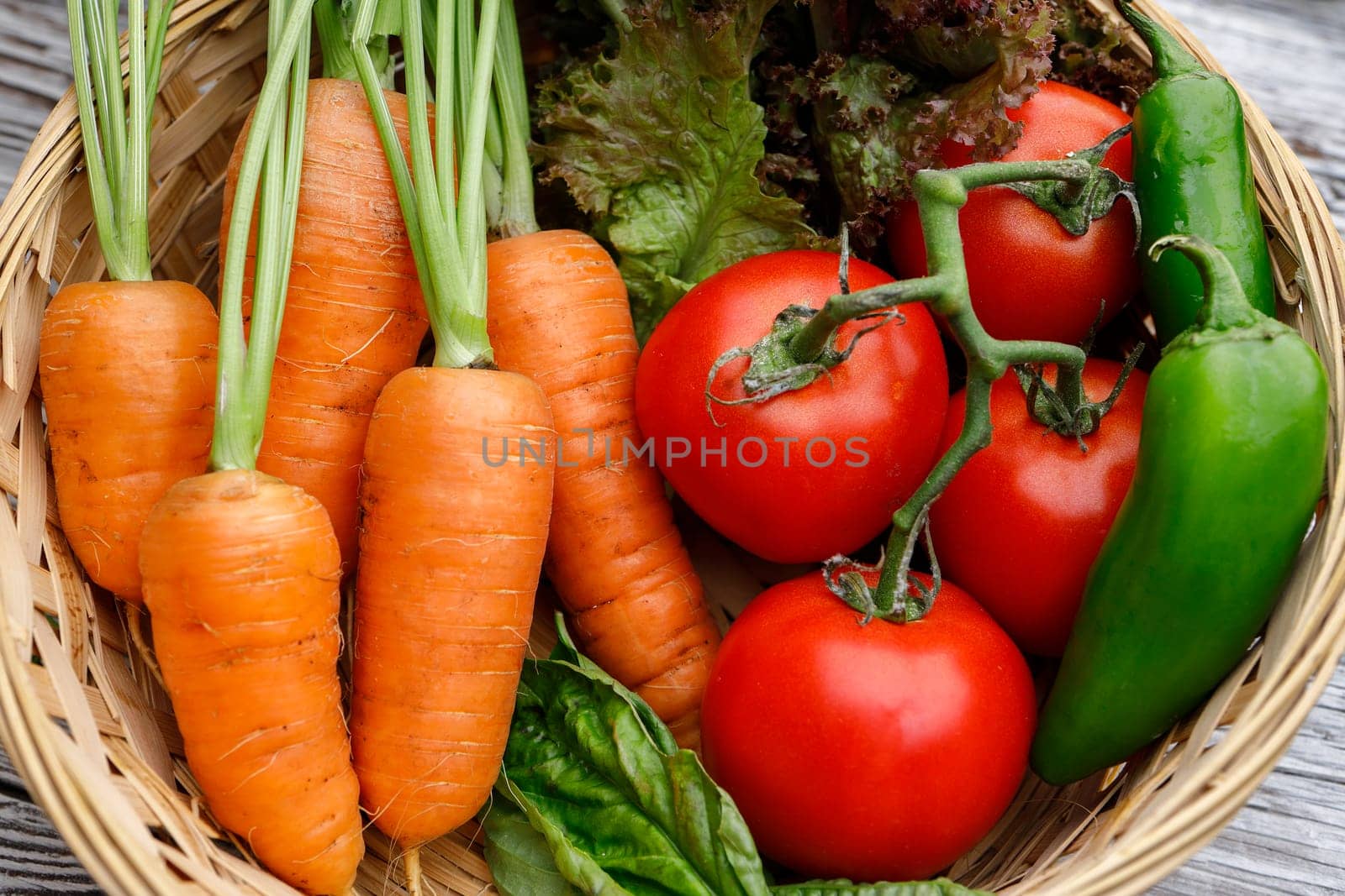 An overview of a basket of carrots, tomatoes, peppers, and basil.