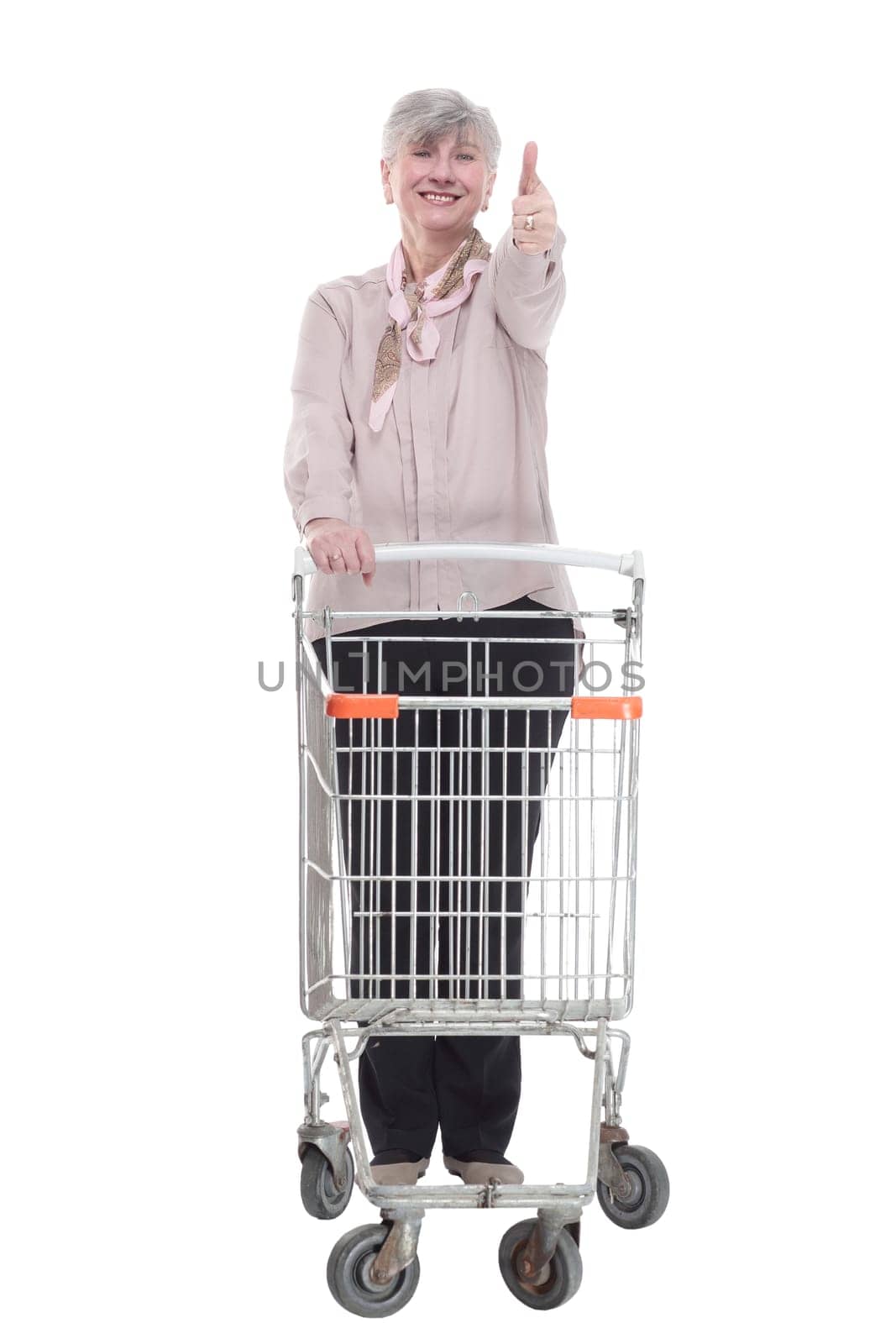 smiling old lady with a shopping cart . isolated on a white background. by asdf