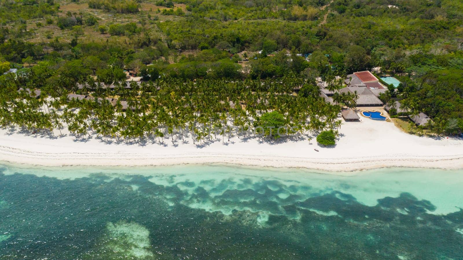 Tropical sandy beach with palm trees and turquoise clear waters. Panglao island, Bohol, Philippines.