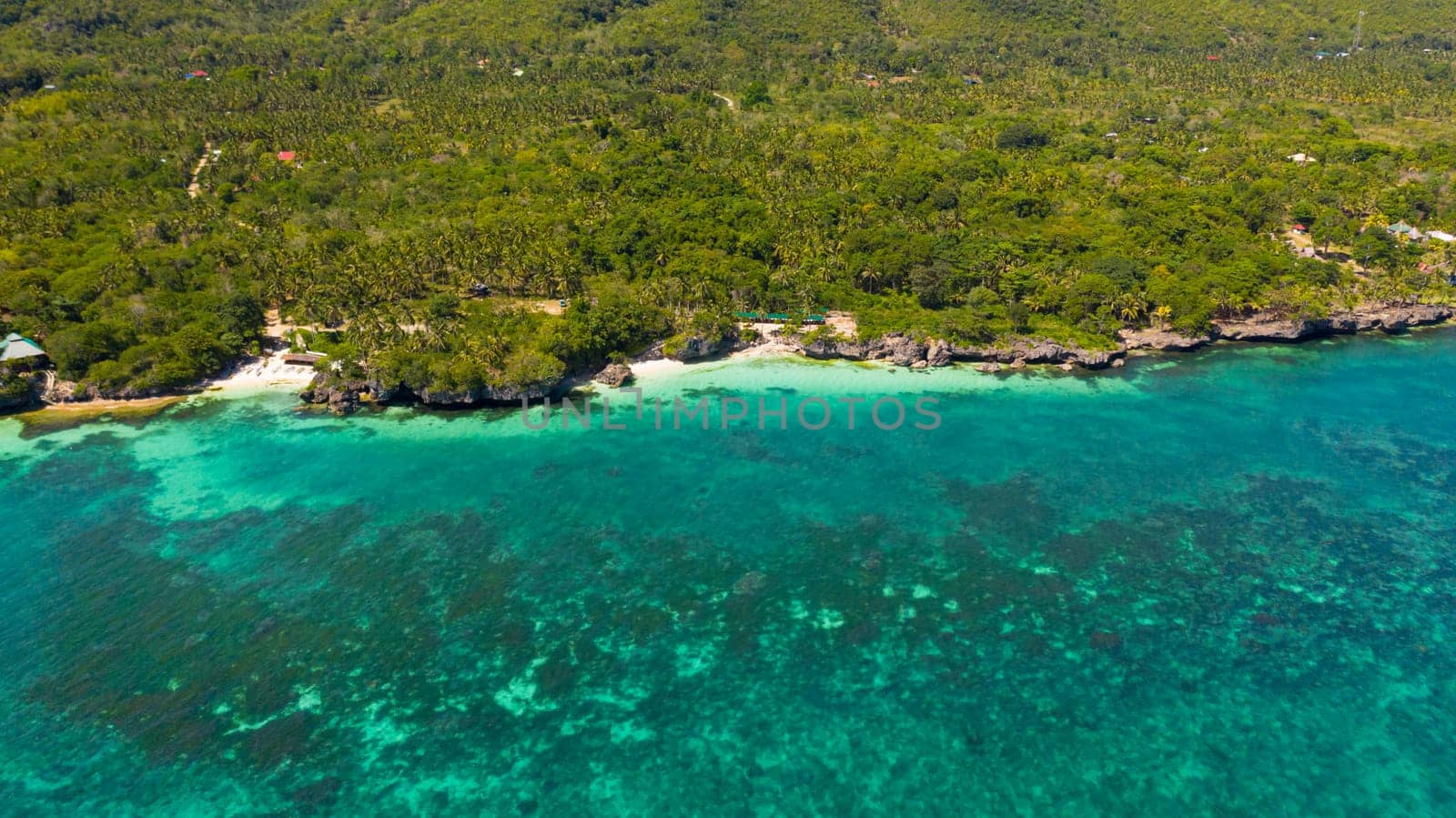 Tropical beach with sea and palm. Beautiful beach and tropical sea. Bohol, Anda, Philippines. Summer and travel vacation concept.