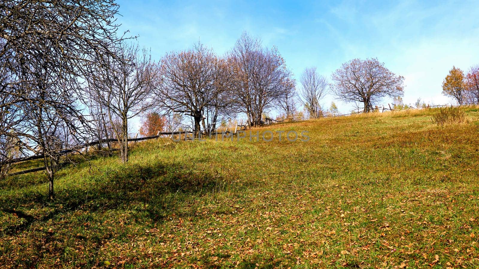 Autumn fenced area of uncultivated arable land with fruit trees on a hillside by jovani68