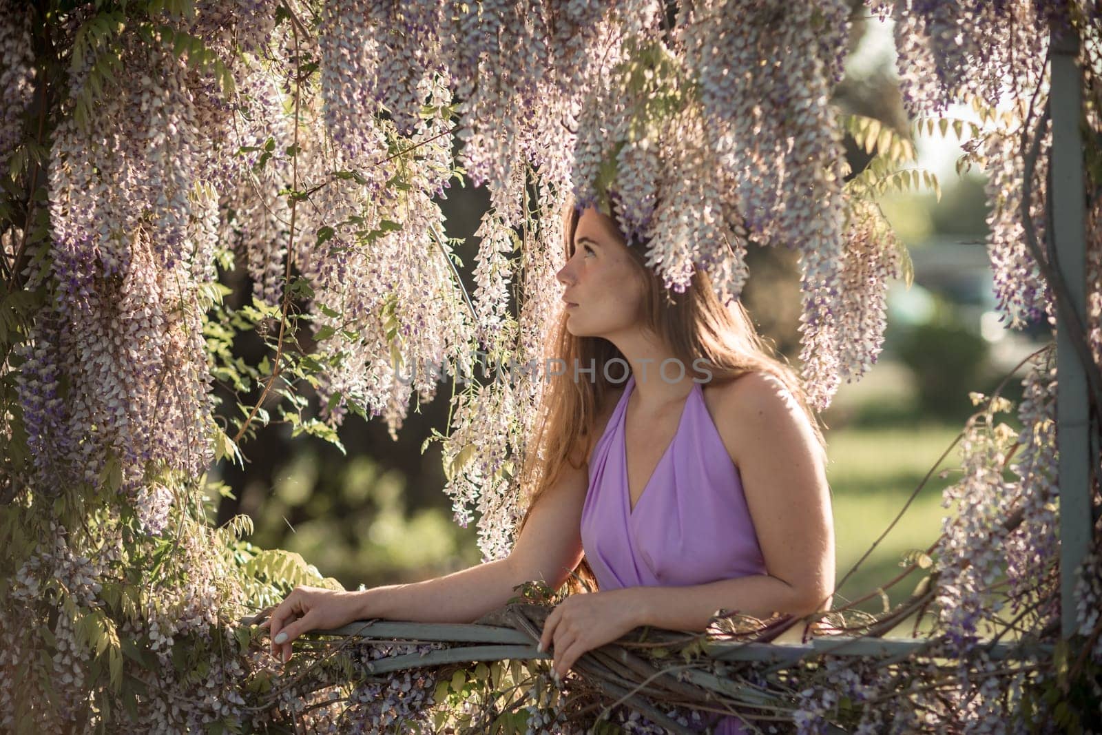 Woman wisteria lilac dress. Thoughtful happy mature woman in purple dress surrounded by chinese wisteria.