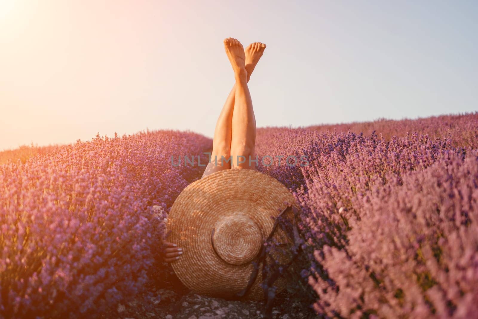 Selective focus. The girls legs stick out of the bushes, warm sunset light. Bushes of lavender purple in blossom, aromatic flowers at lavender fields.