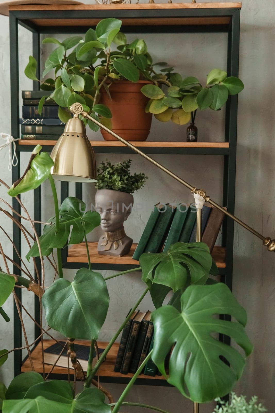 A fragment of the interior with a variety of indoor plants and plaster sculptures. Urban jungle concept. Biophilia design.