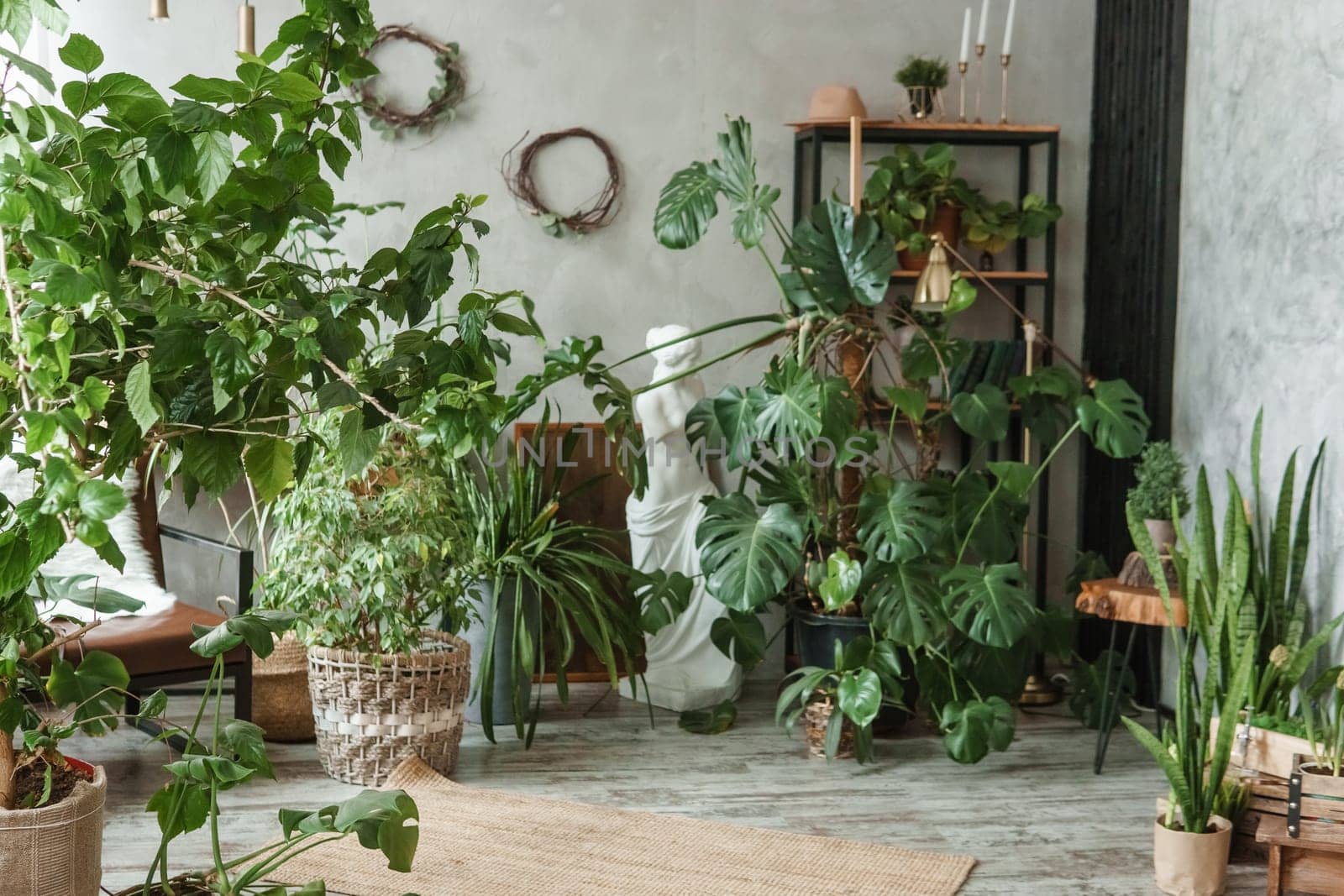 A fragment of the interior with a variety of indoor plants and plaster sculptures. Urban jungle concept. Biophilia design.