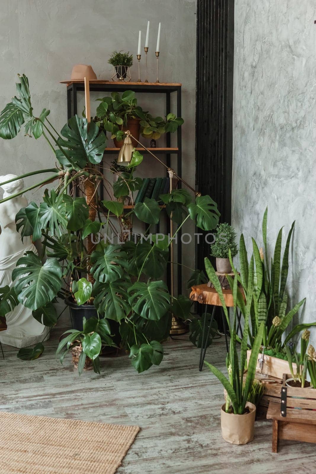 A fragment of the interior with a variety of indoor plants and plaster sculptures. Urban jungle concept. Biophilia design.