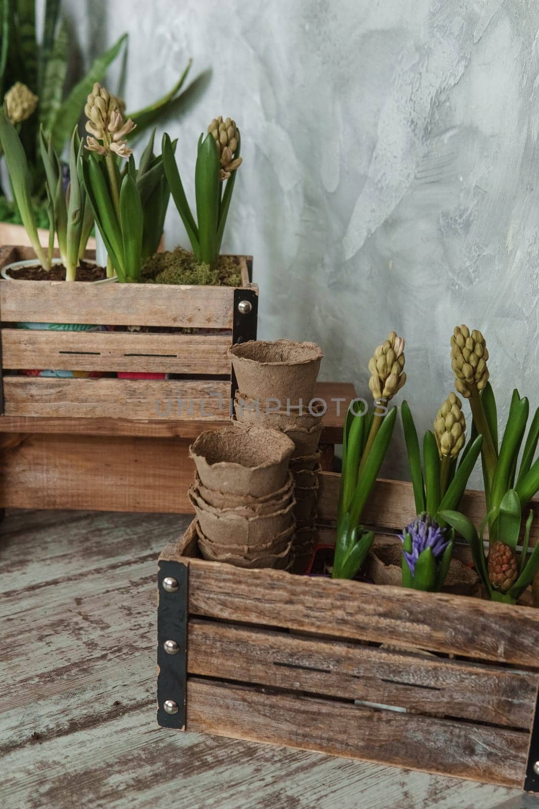 A fragment of the interior with a variety of indoor plants and plaster sculptures. Urban jungle concept. Biophilia design.