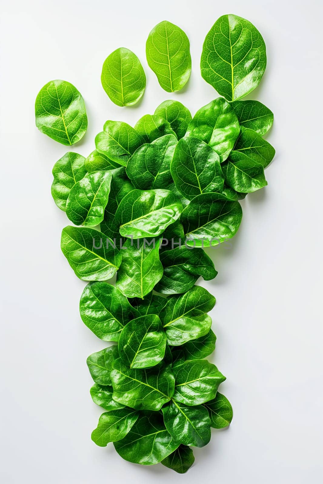 Green footprint with leaves for ecology, environment, and nature sustainability concept