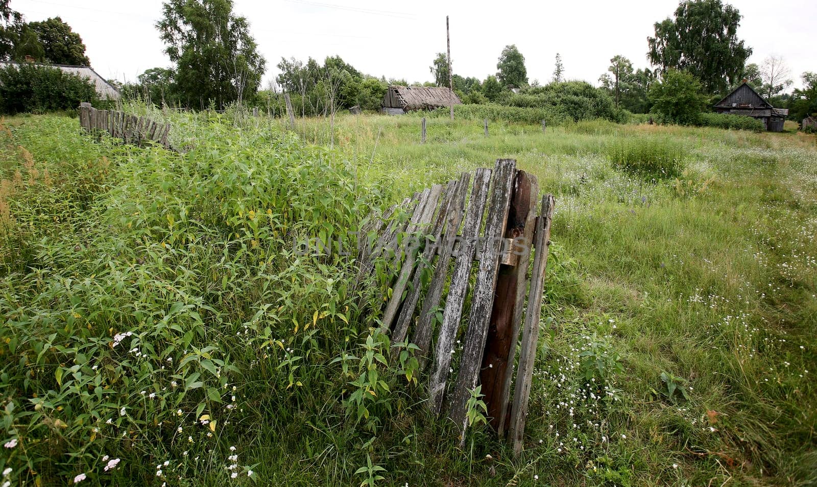 Eastern Europe, Republic of Belarus, Kachanovichi village, Pinsk district, Brest region. Old house in the field, fence.