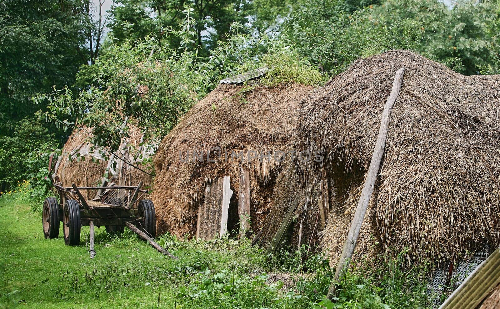 Eastern Europe, Republic of Belarus, Kachanovichi village, Pinsk district, Brest region. Old houses with thatched roofs.