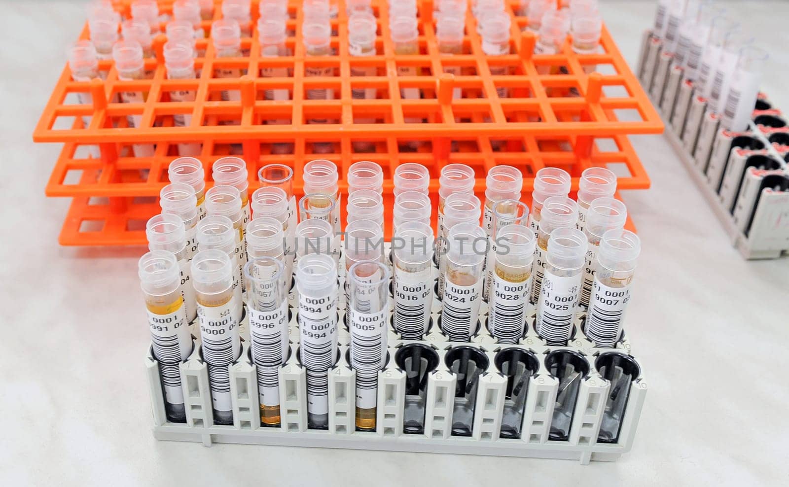 Scientist working with blood sample in laboratory