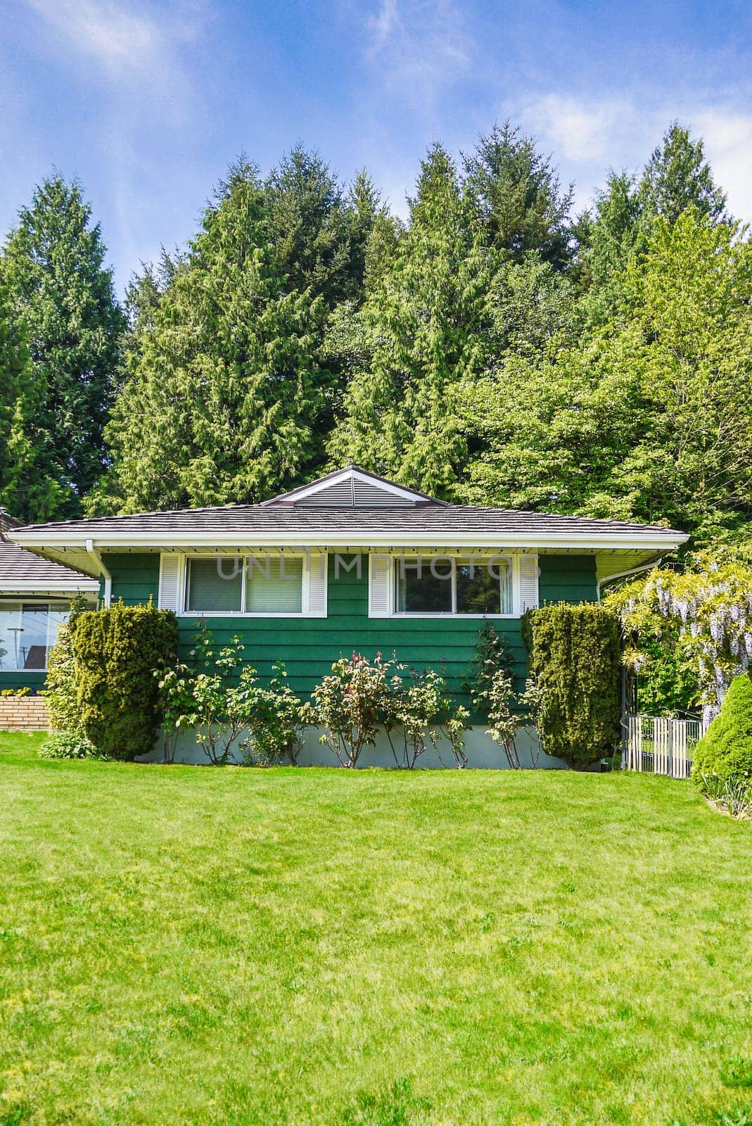 Big front yard and facade of family house on green trees and blue sky background