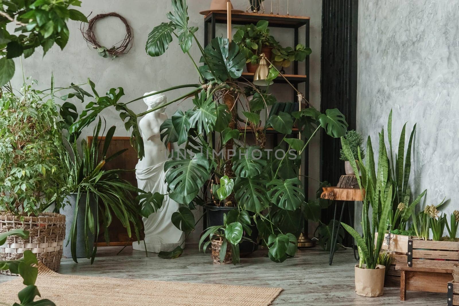 A fragment of the interior with a variety of indoor plants and plaster sculptures. Urban jungle concept. Biophilia design.