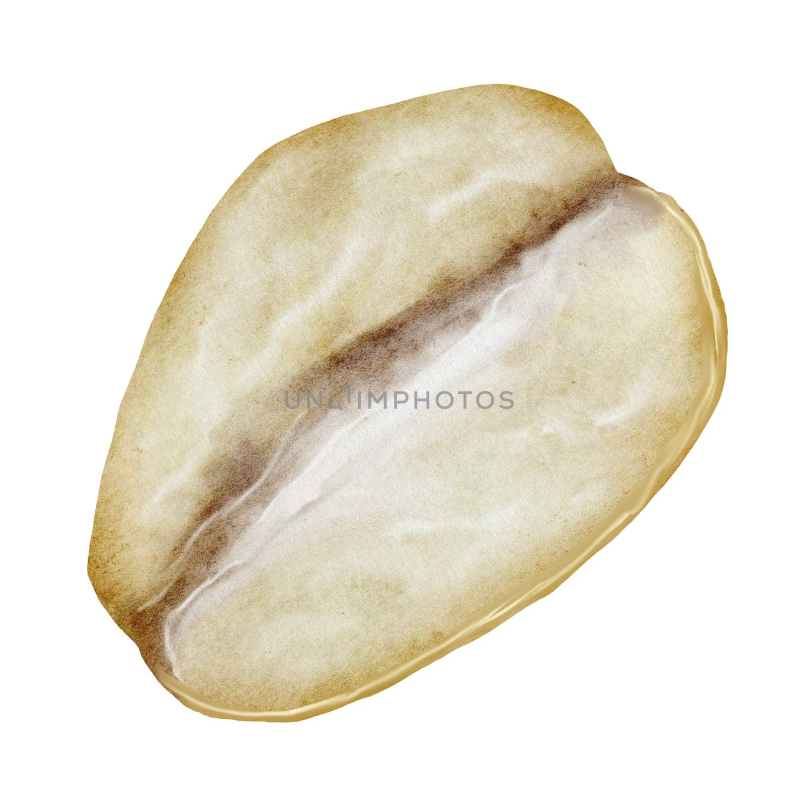 Oat flakes watercolor. Hand drawn oats on isolated white background. Clip art realistic morning breakfast. Ideal for oatmeal packaging and logo. High quality illustration