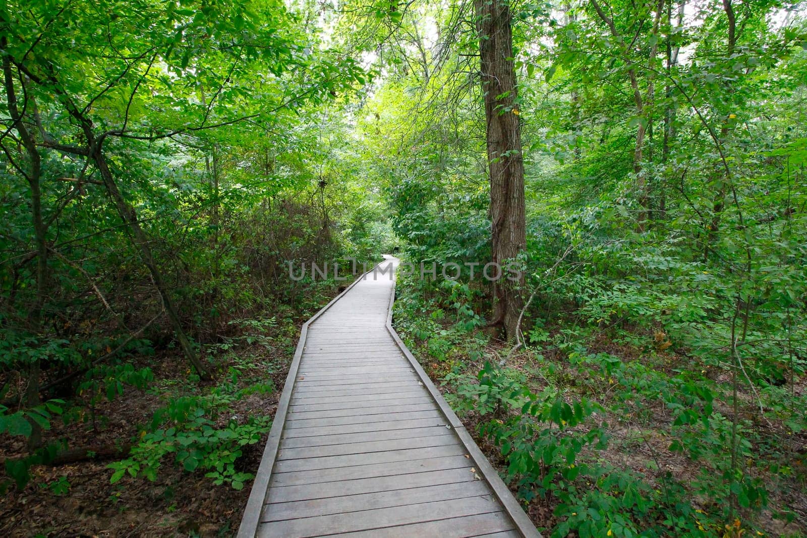 Views at Blacklick Metro Park, Reynoldsburg, Ohio