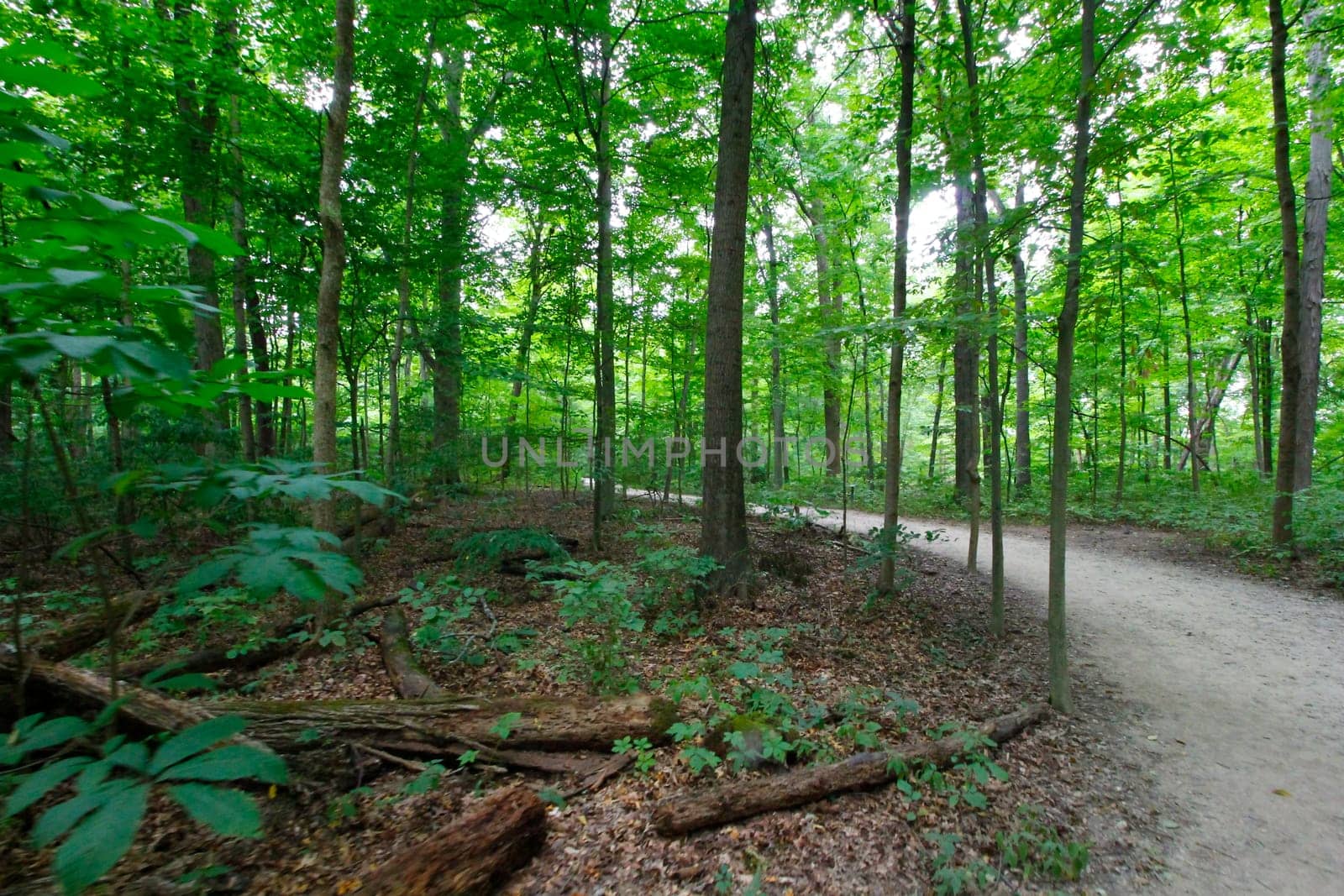 Views at Blacklick Metro Park, Reynoldsburg, Ohio