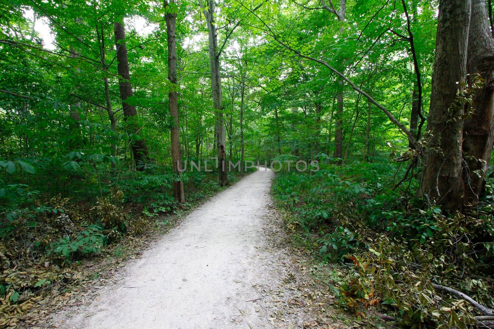 Views at Blacklick Metro Park, Reynoldsburg, Ohio