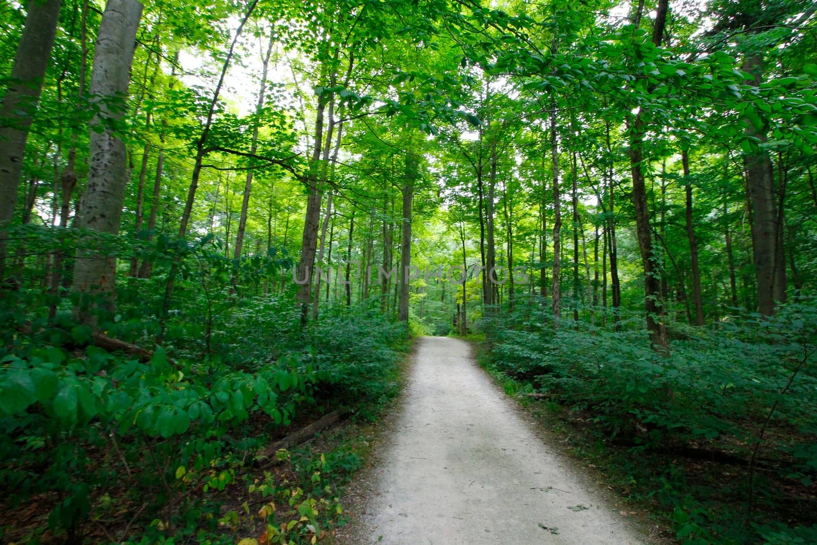 Views at Blacklick Metro Park, Reynoldsburg, Ohio