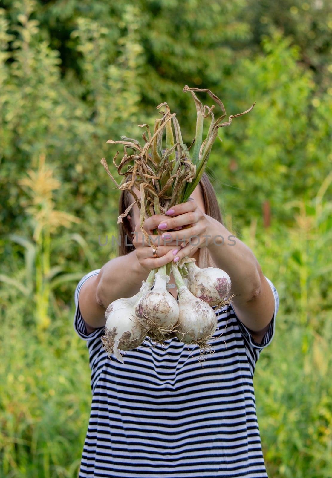 woman farmer holds onions in her hands. harvest