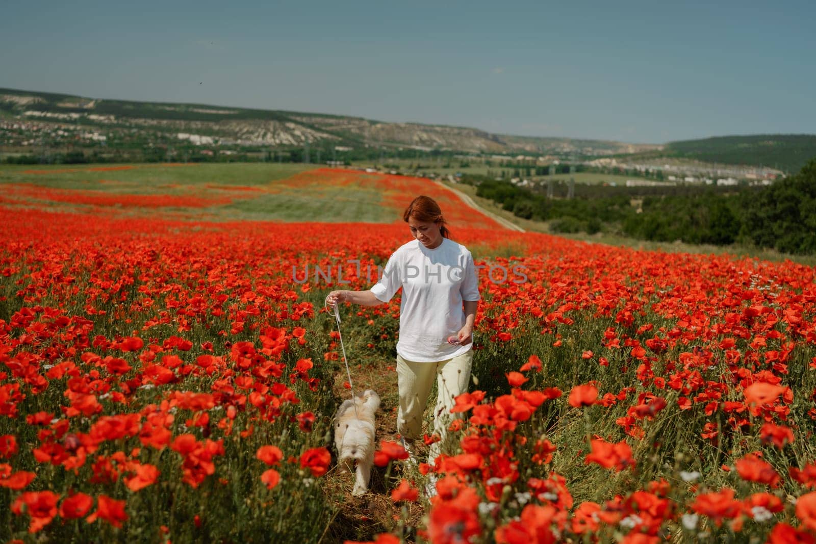 woman with dog. Happy woman walking with white dog along a blooming poppy field on a sunny day. On a walk with dog.