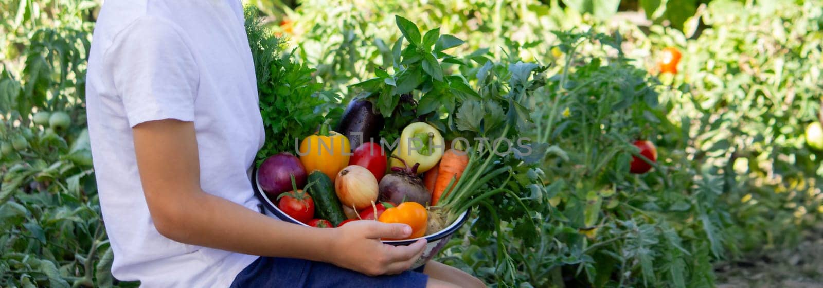 boy holds fresh vegetables in a bowl. Selective focus.