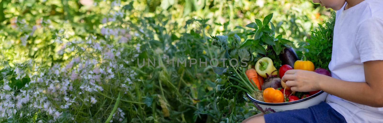 boy holds fresh vegetables in a bowl. Selective focus.