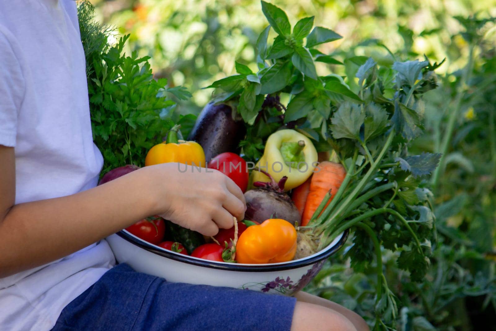 boy holds fresh vegetables in a bowl. Selective focus.