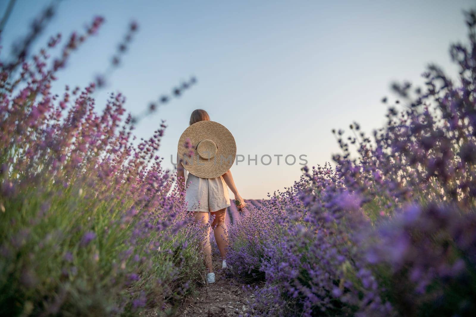 A woman is walking through a field of purple flowers with a straw hat on.