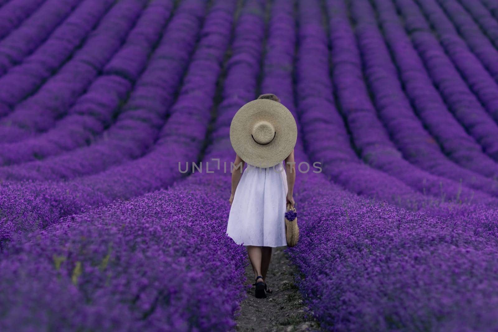 A woman wearing a straw hat walks through a field of purple flowers. The scene is serene and peaceful, with the woman's hat casting a shadow on the ground. The purple flowers are arranged in neat rows