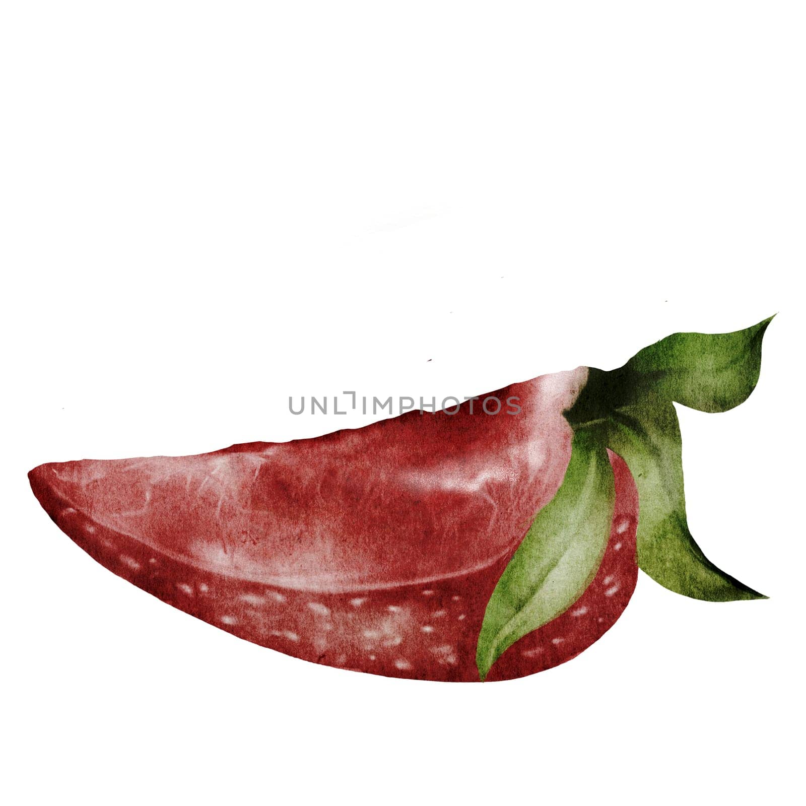 Strawberries clip art. Hand drawn watercolor drawing of juicy red berry. Realistic style strawberry illustration on isolated white background. Ideal for natural cosmetics logo and food packaging. High quality illustration