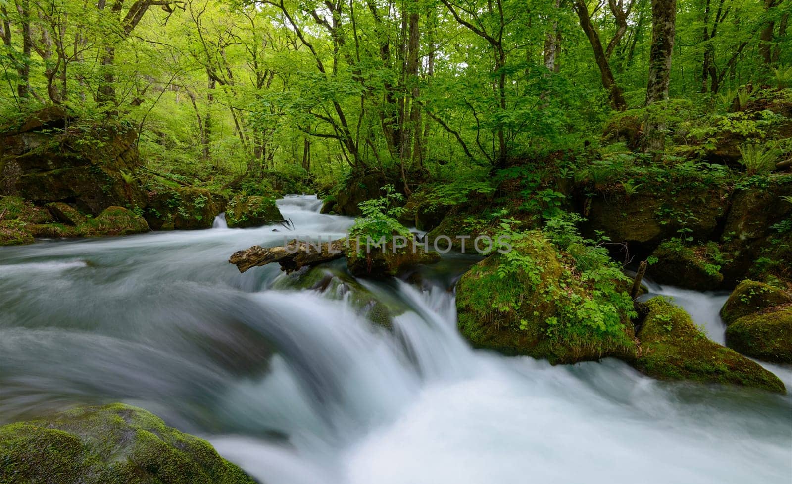 A Beautiful Japan pictures