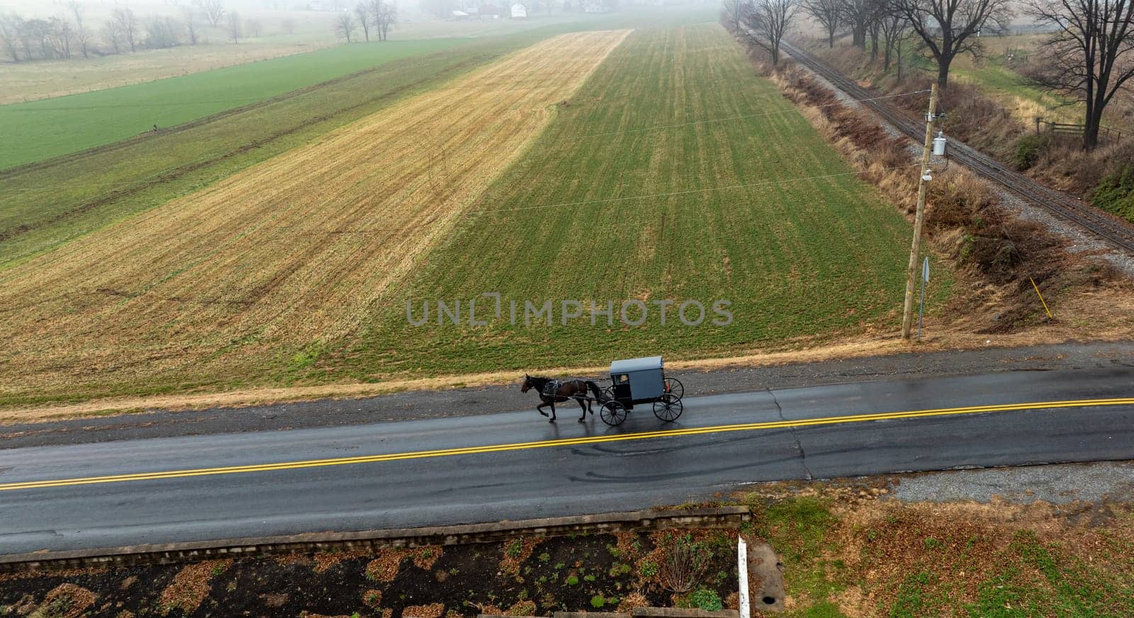 A horse-drawn Amish carriage moves steadily down a rural road surrounded by fields under a foggy sky.