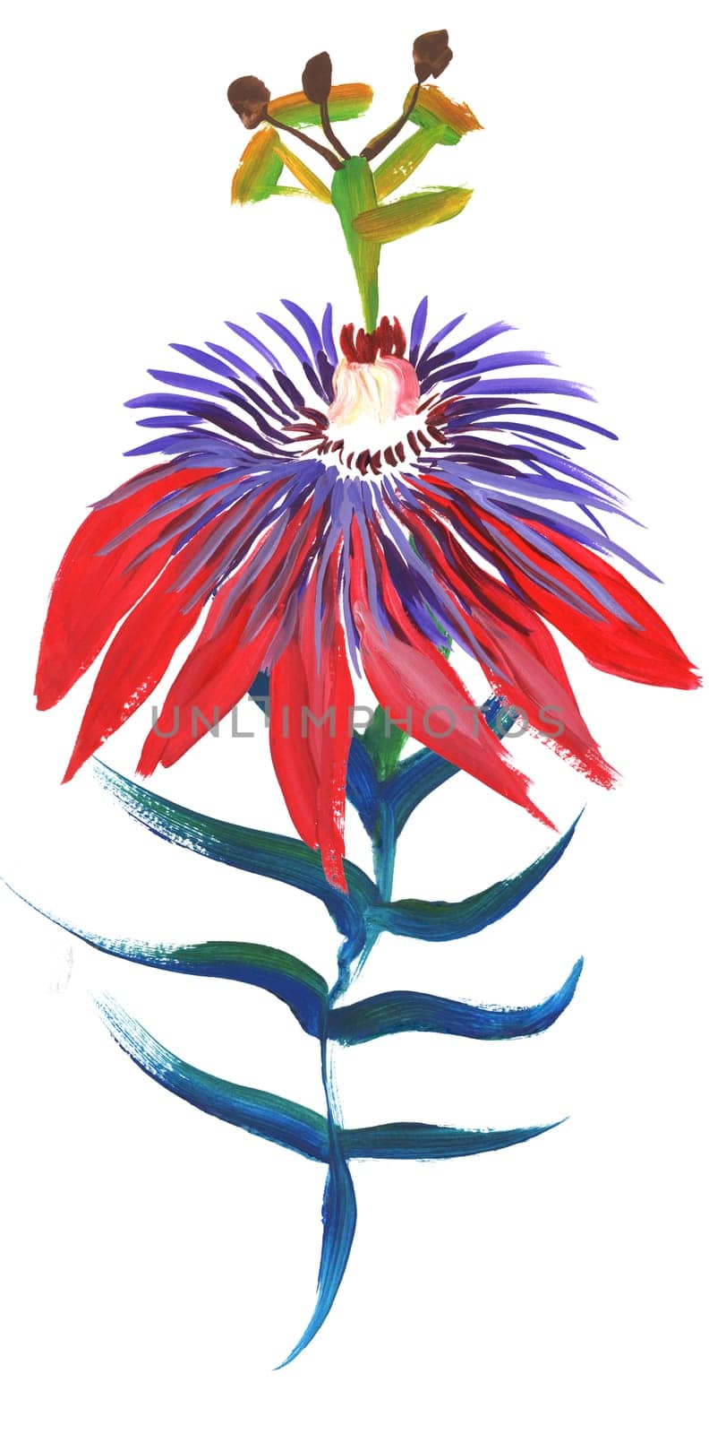 palm leaf painted in gouache with a dry brush isolated on a white background for the design of summer fabrics and other