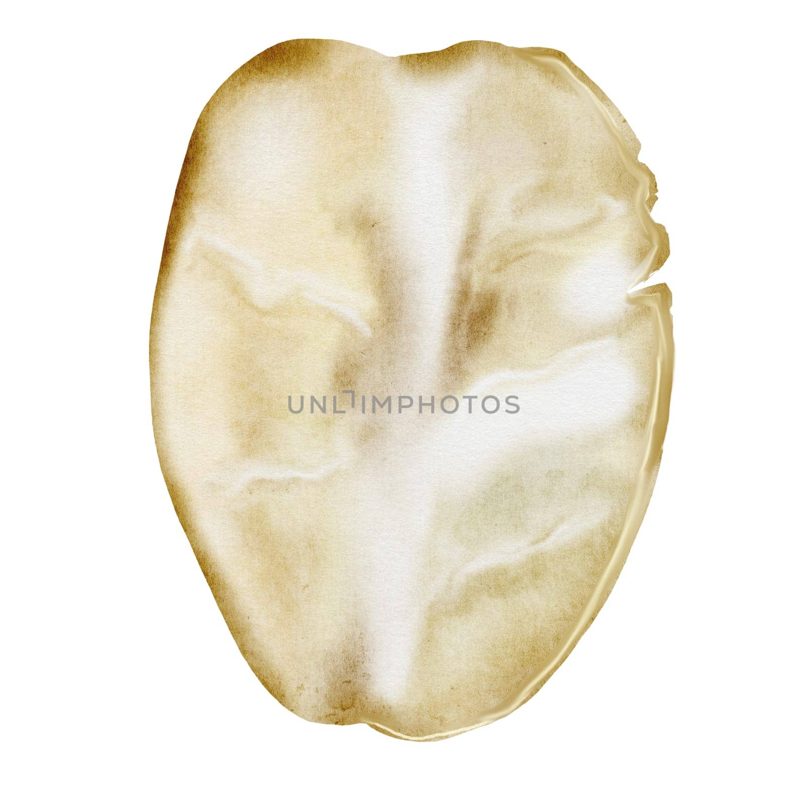 Oat flakes watercolor. Hand drawn oats on isolated white background. Clip art realistic morning breakfast. Ideal for oatmeal packaging and logo. High quality illustration