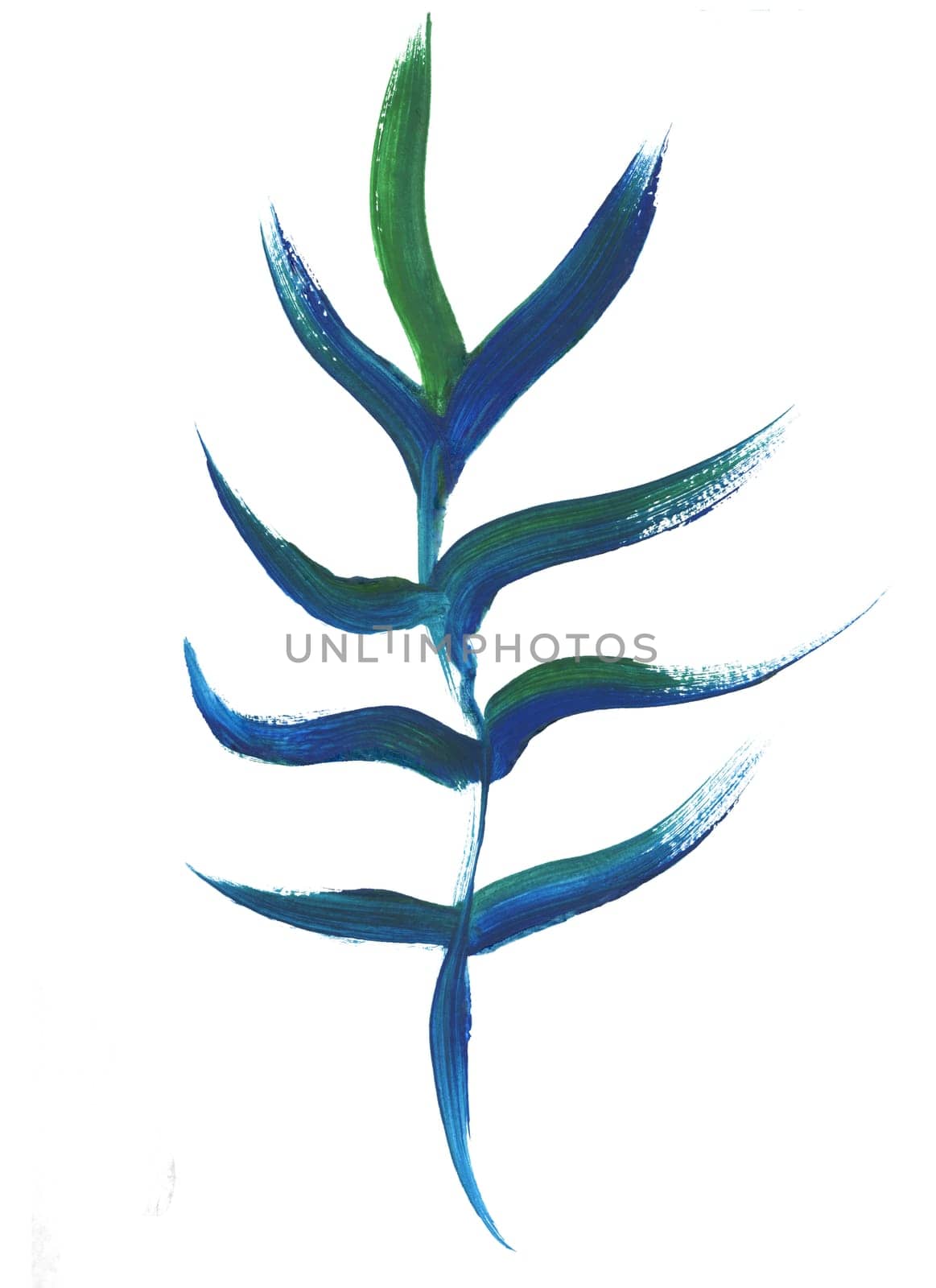 palm leaf painted in gouache with a dry brush isolated on a white background for the design of summer fabrics and other