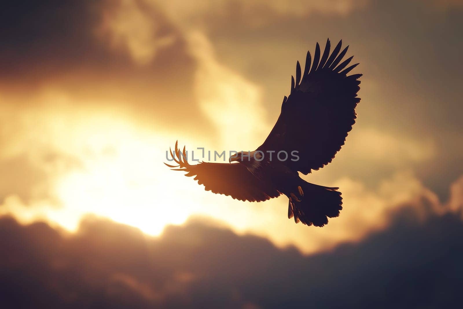 Silhouette of an eagle with spread wings soaring against a dramatic sunset sky with golden clouds.