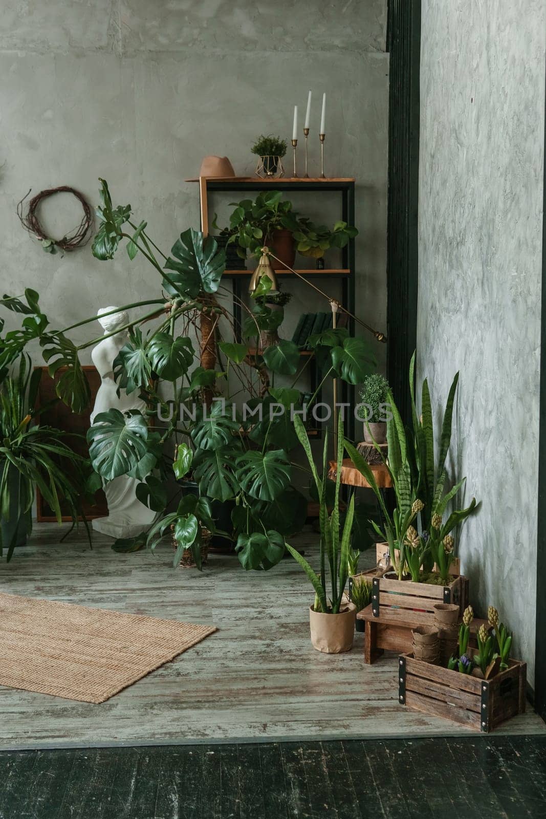A fragment of the interior with a variety of indoor plants and plaster sculptures. Urban jungle concept. Biophilia design.