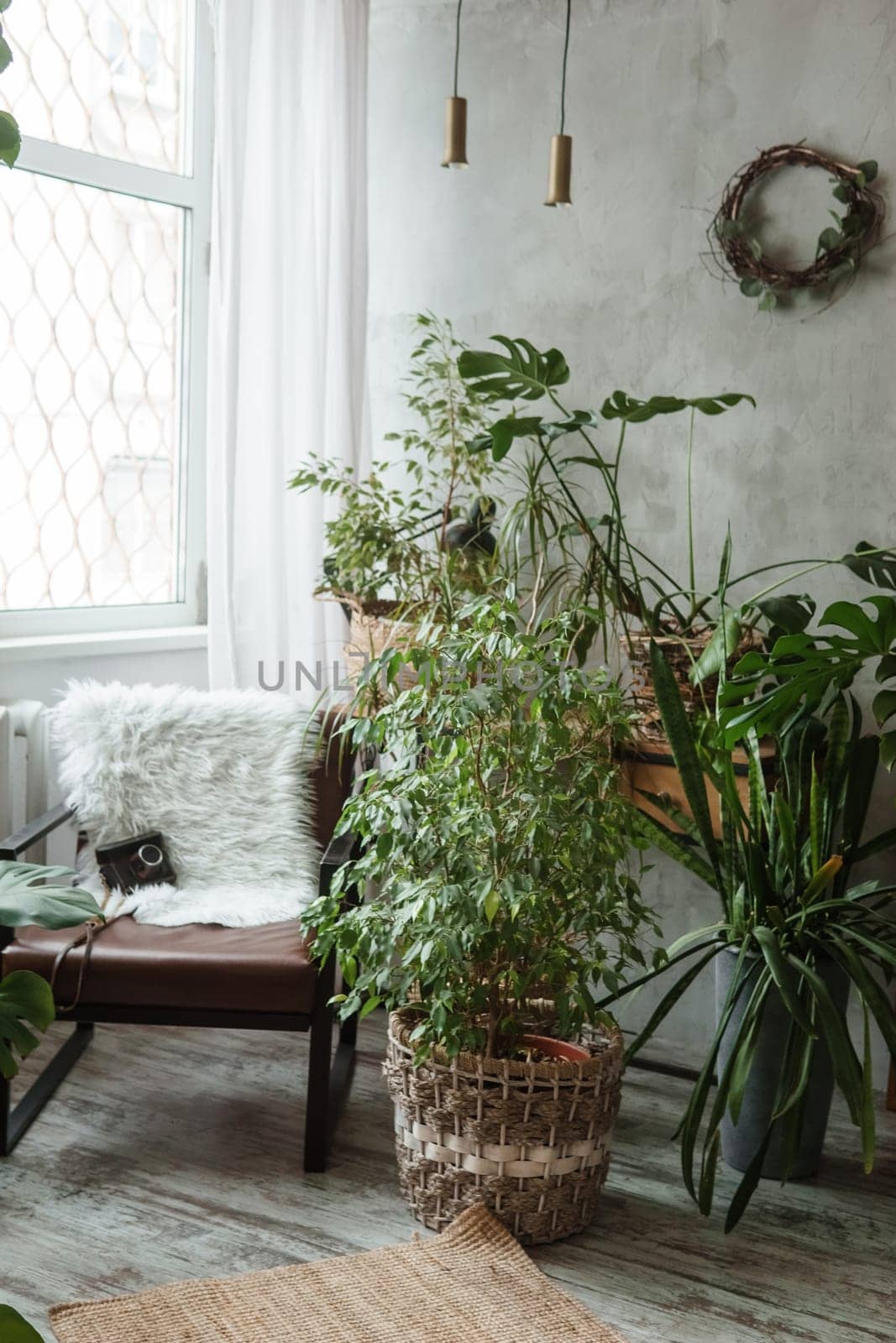 A fragment of the interior with a variety of indoor plants and plaster sculptures. Urban jungle concept. Biophilia design.