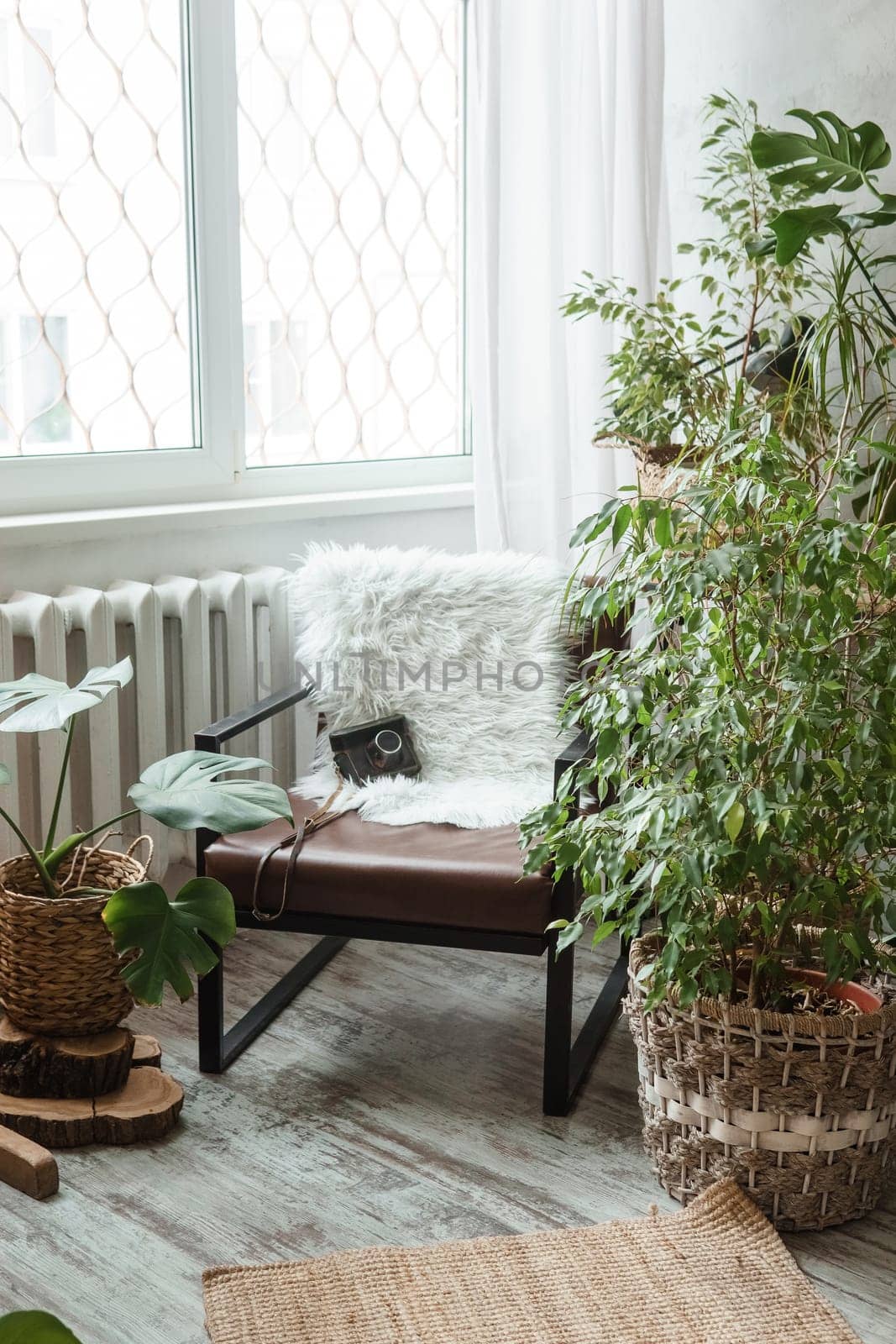 A fragment of the interior with a variety of indoor plants and plaster sculptures. Urban jungle concept. Biophilia design.