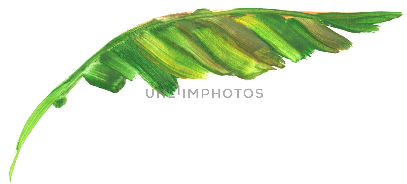 palm leaf painted in gouache with a dry brush isolated on a white background for the design of summer fabrics and other