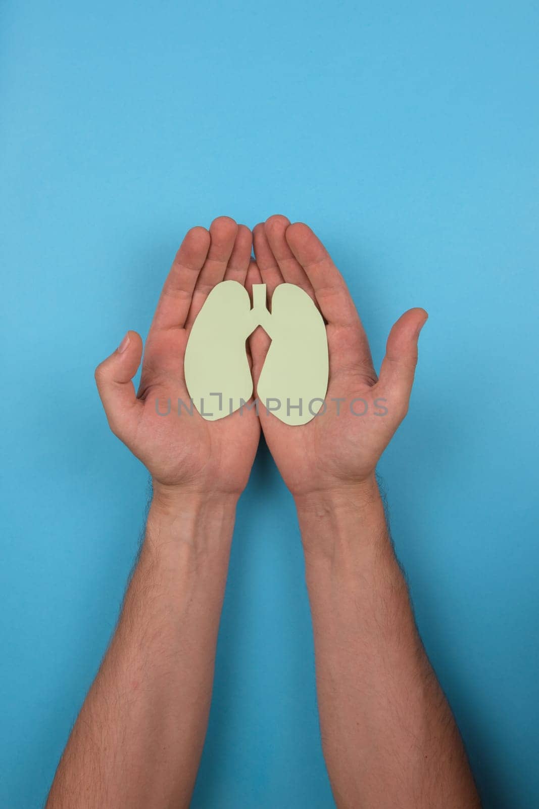 Women's hands hold a paper lungs symbol on blue background. Concept of World Tuberculosis Day or healthcare and diagnostic from covid, pneumonia or donation organ