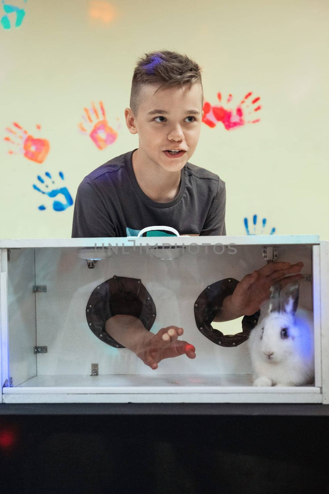 Blind guess game by touch . Young boy guesses by touch that he does not see in the box, rabbit in the box. Happy birthday celebrating or games with friends concept
