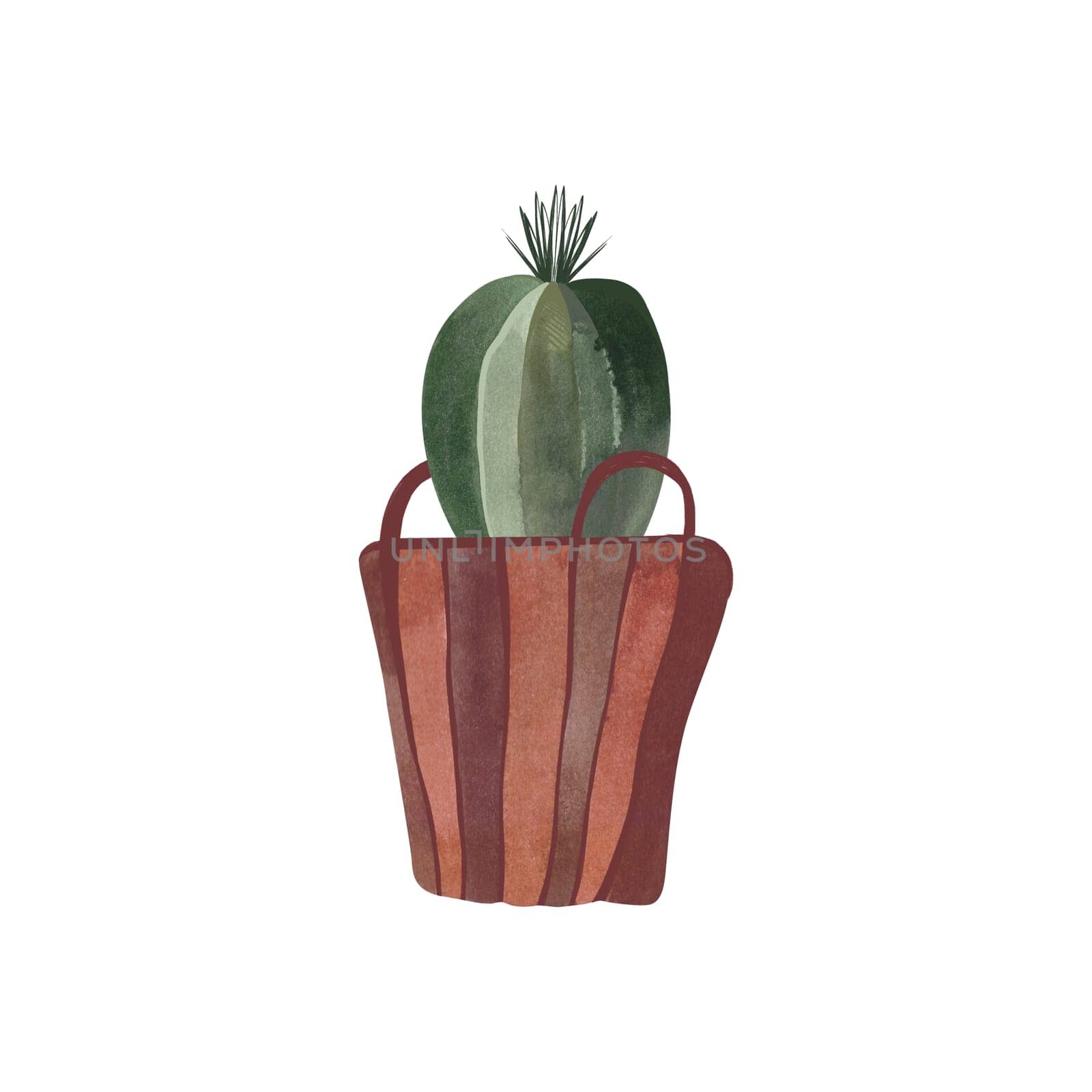 Cactus in a wicker basket. Plants for the home. Floriculture. Interior decoration. Isolated watercolor illustration on white background. Clipart