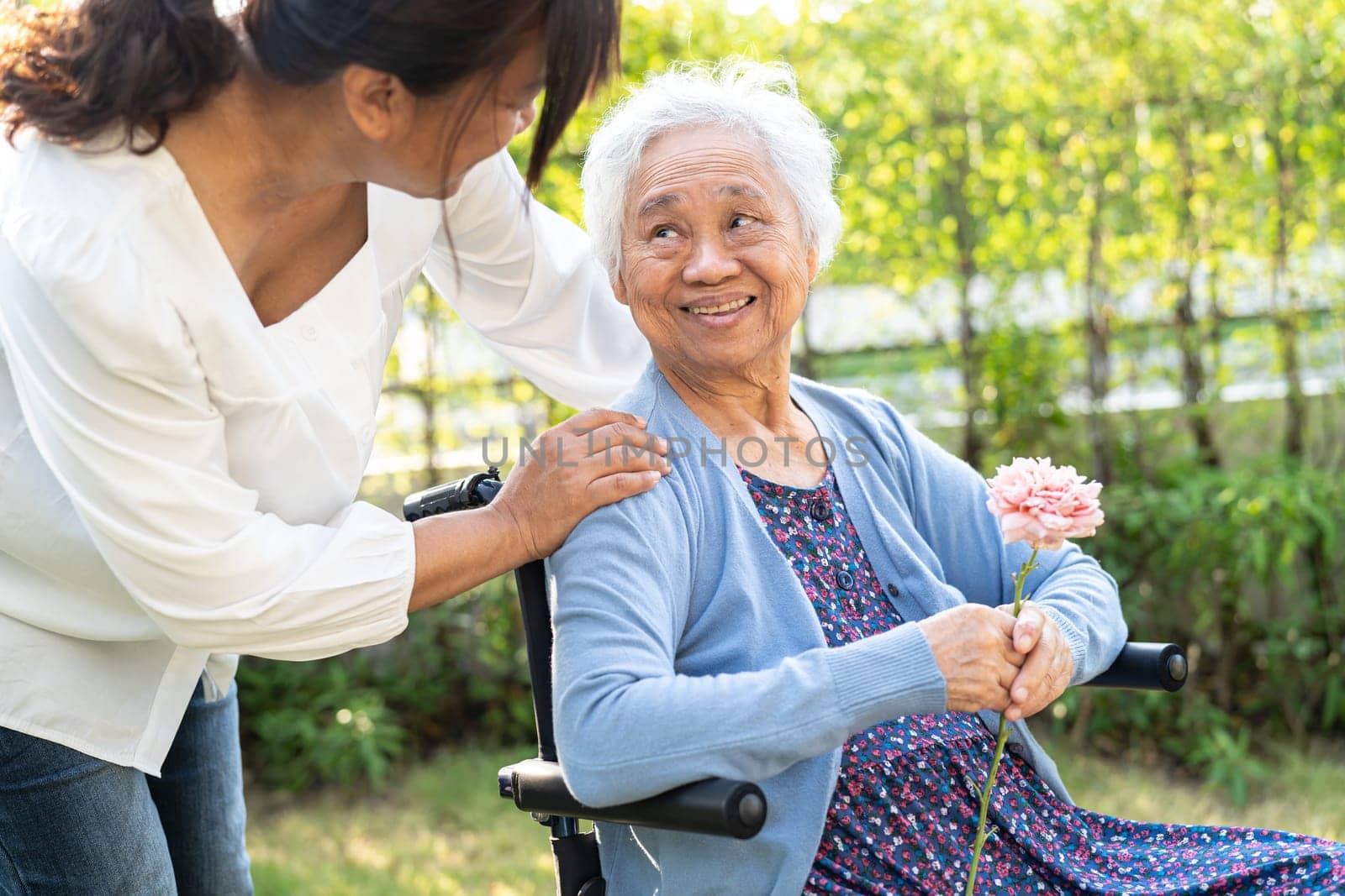 Asian senior or elderly old lady woman holding pink rose flower, smile and happy in the sunny garden.