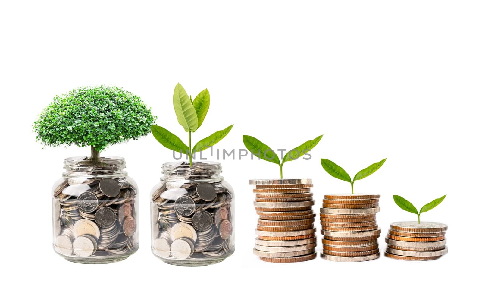 Tree plumule leaf on save money coins, Business finance saving banking investment concept. by pamai